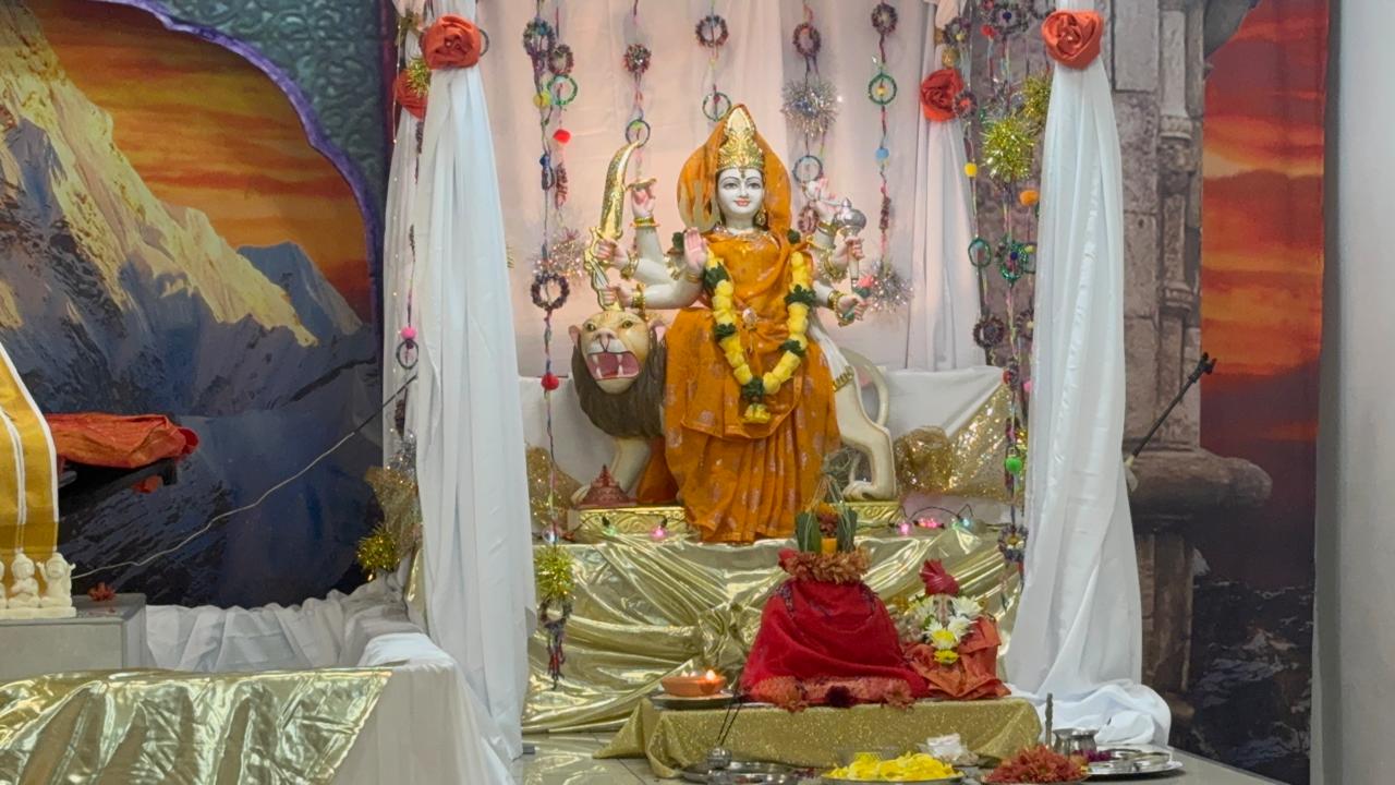 Navaratri 2026 photo 4